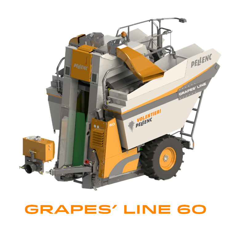 grapes line60