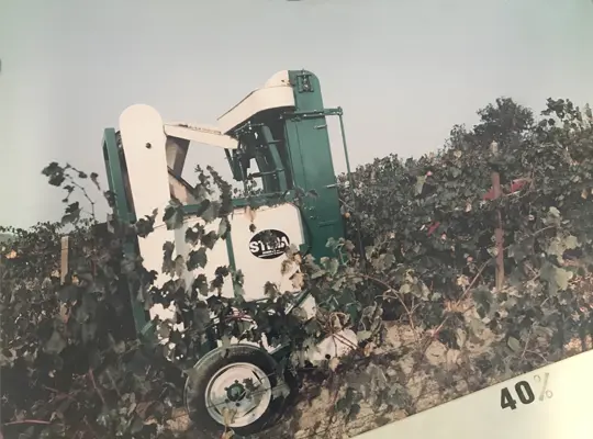 timeline 1980